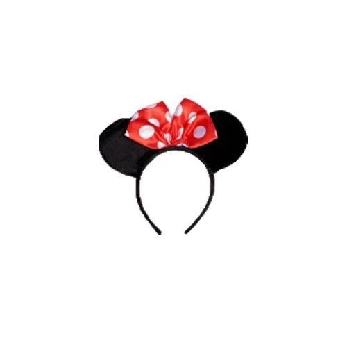 Princess Costume - Minnie
