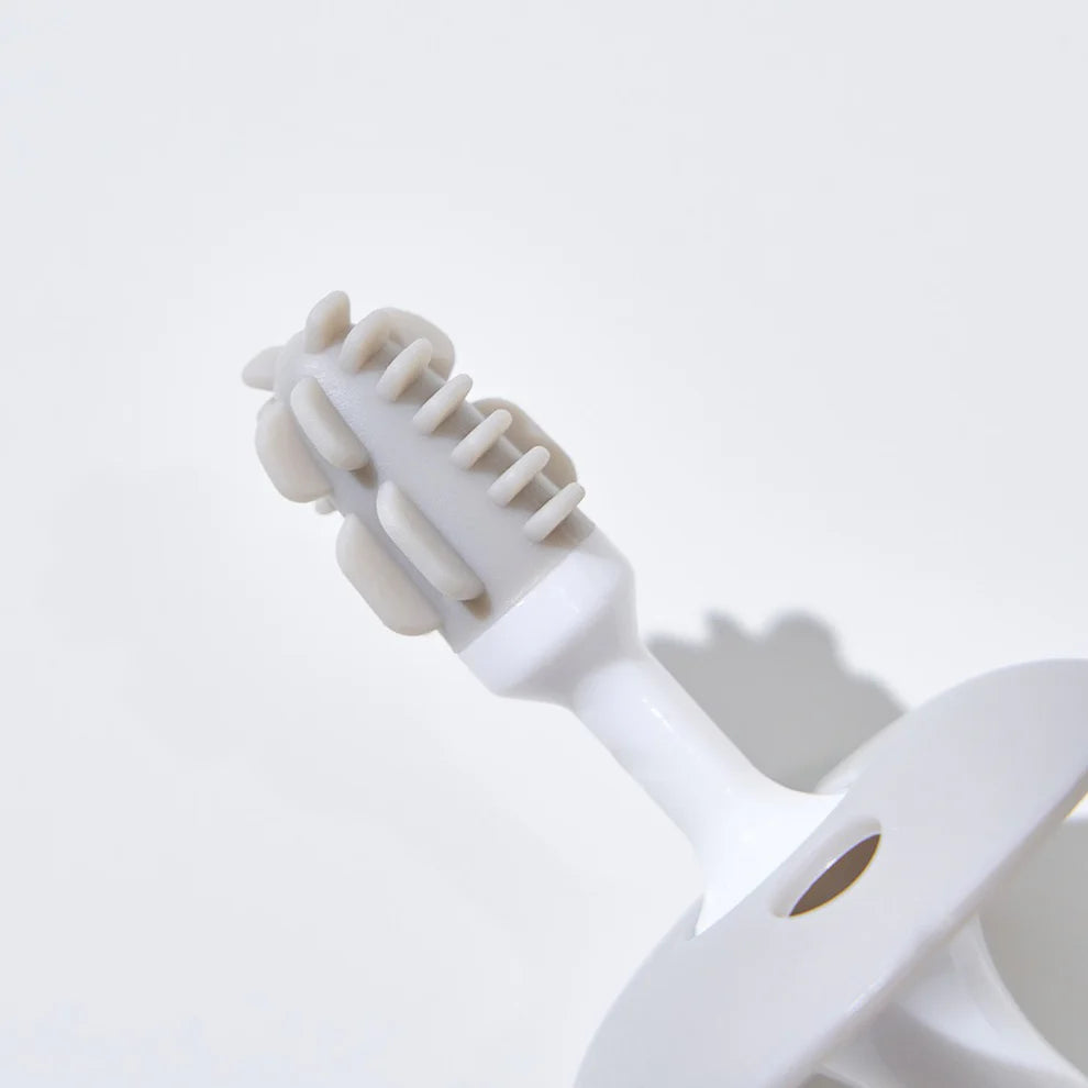 The Twelve 2 Pieces Baby Toothbrush