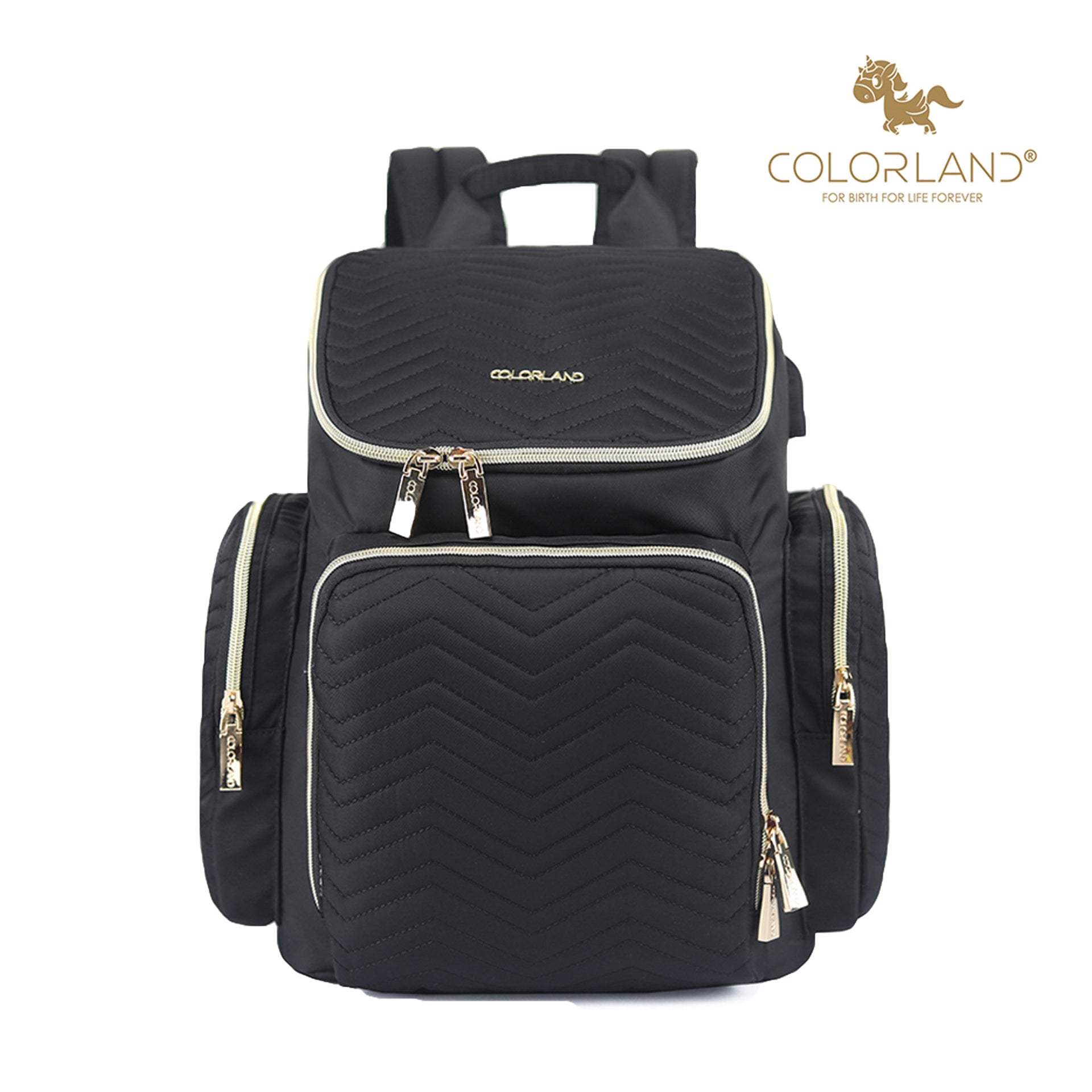 Colorland Mommy Travel Diaper Backpack (BP146-A/Black)